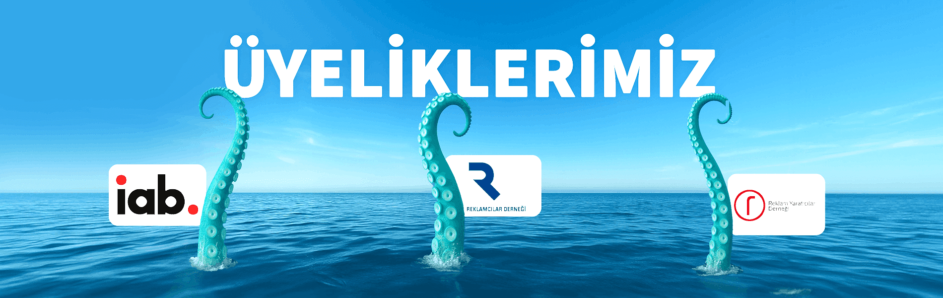 Üyeliklerimiz