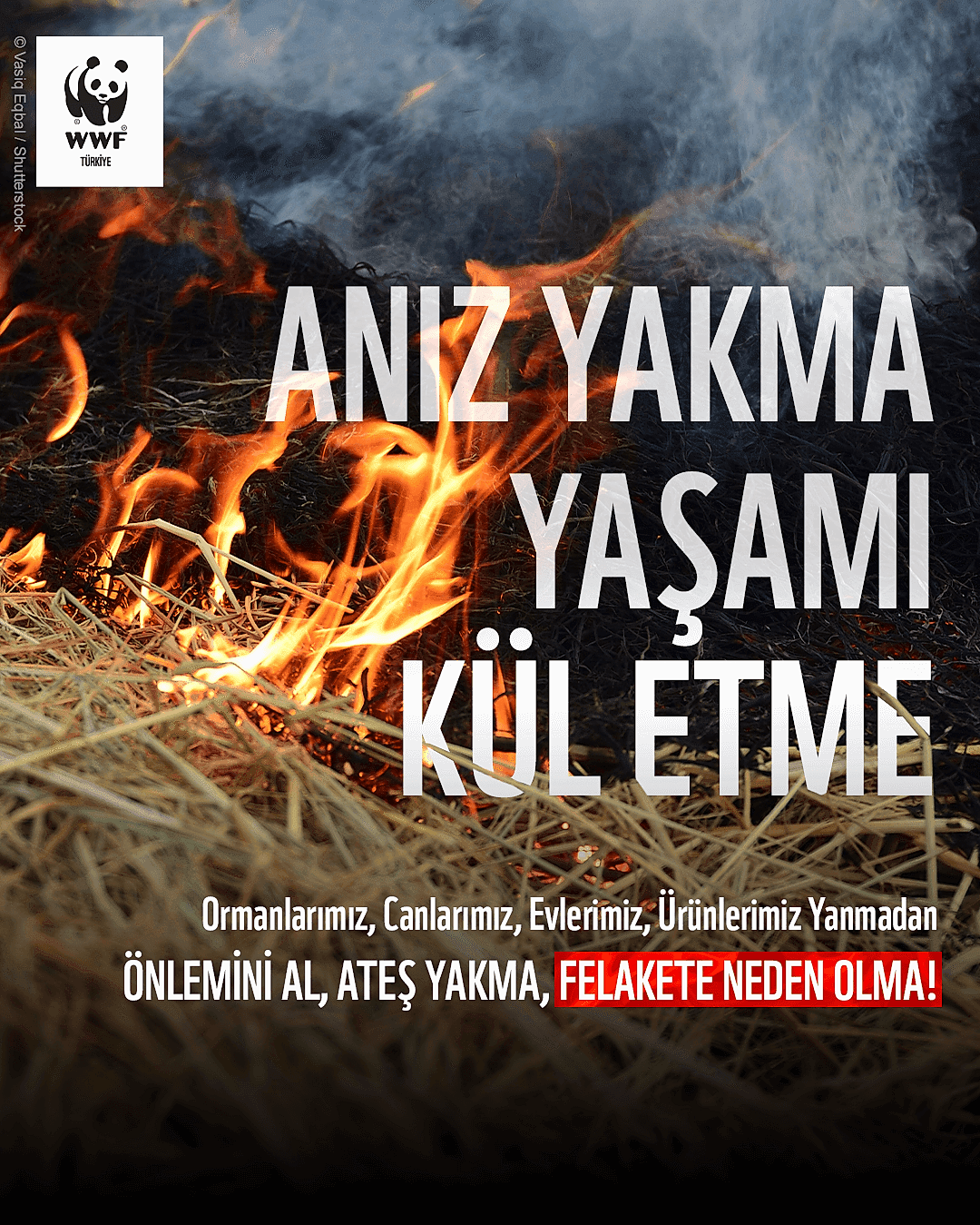 WWF Azərbaycan