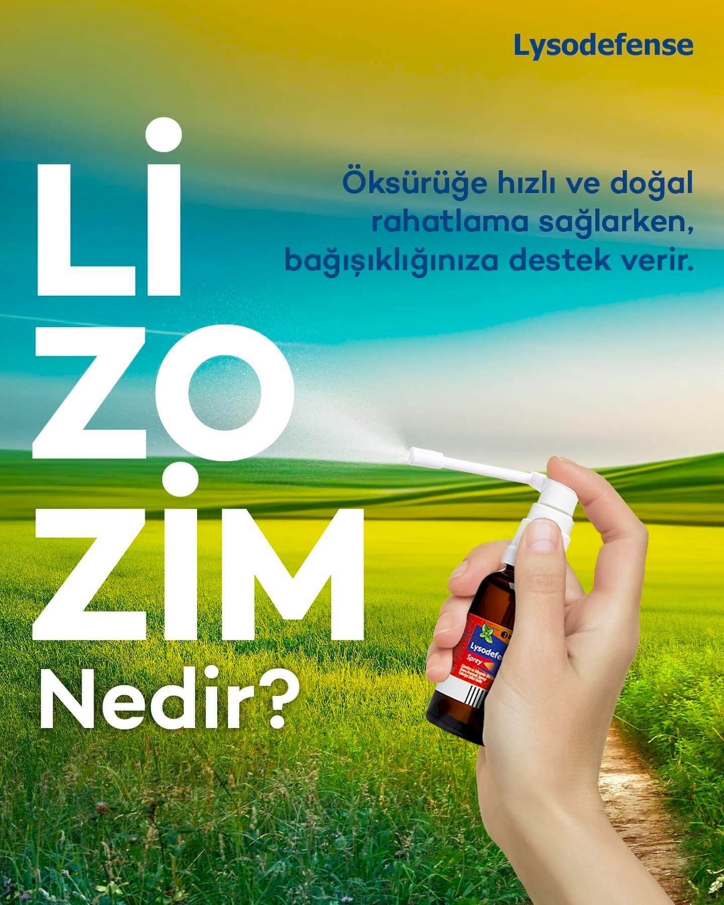 Lysodefense Lizozim