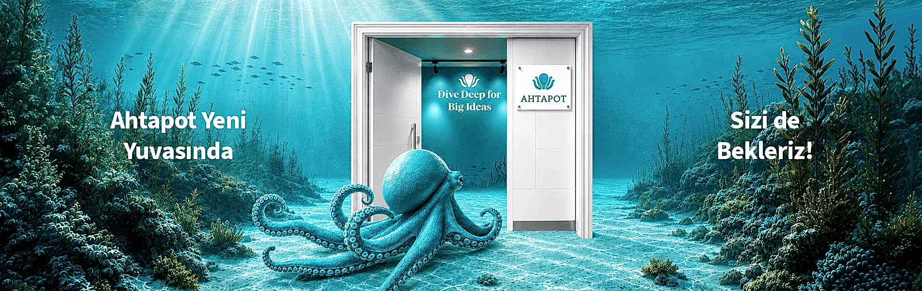 Ahtapot Yeni Yuvasında