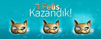 17. MEDİACAT FELİS ÖDÜLLERİ'NDE 3 FELİS KAZANDIK!