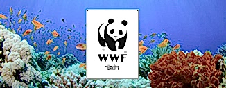 ARAMIZA HOŞ GELDİN WWF-TÜRKİYE!
